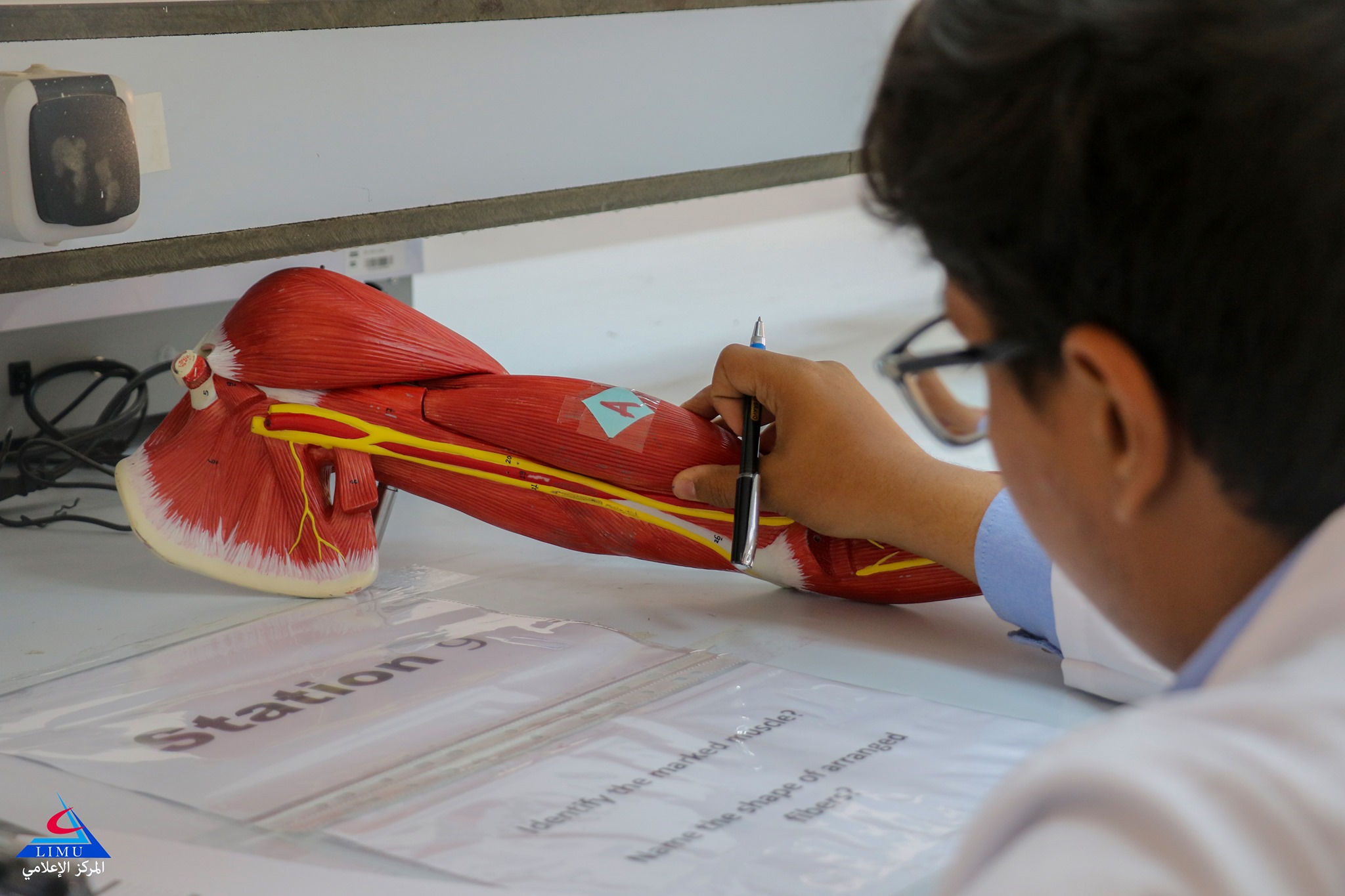 BMS Faculty First-year Students Take OSPE