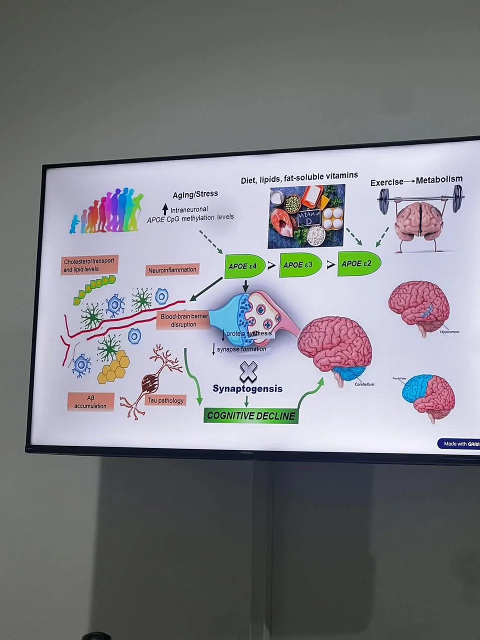 أنشطة أكاديمية مبتكرةفي ماجستير الوراثة الخلوية